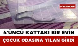 4’üncü Kattaki Bir Evin Çocuk Odasına Yılan Girdi