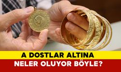 A Dostlar, Altına Neler Oluyor Böyle?