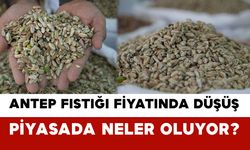 Antep Fıstığı Fiyatında Düşüş: Piyasada Neler Oluyor?