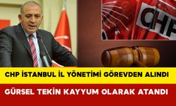CHP İstanbul İl Yönetimi Görevden Alındı: Gürsel Tekin Kayyum Olarak Atandı