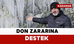 Karaman’daki don zararına destek
