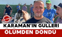 Karaman’ın gülleri ölümden döndü