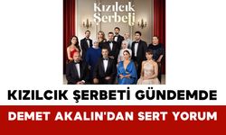 Kızılcık Şerbeti Yeni Sezonuyla Gündemde: Demet Akalın'dan Sert Yorum