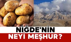 Niğde'nin neyi meşhur?