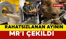 Rahatsızlanan ayının MR’ı çekildi
