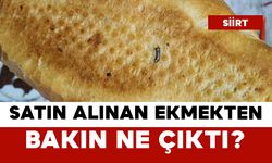 Satın Alınan Ekmekten Bakın Ne Çıktı?