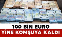 Tır kabininde ele geçirilen 99 bin 970 euro komşuya kaldı