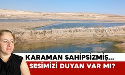 Bu İlin Abisi Yok mu?