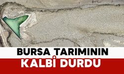 Bursa tarımının kalbi durdu