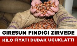 Giresun Fındığı Zirvede: Kilo Fiyatı Dudak Uçuklattı
