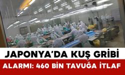 Japonya'da kuş gribi alarmı