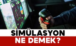Simülasyon Ne Demek?