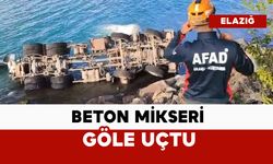 Beton mikseri göle uçtu: sürücü yaralı