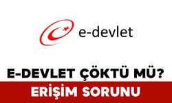 Erişim Sorunu: e-Devlet Çöktü mü?