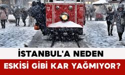 İstanbul'a Neden Eskisi Gibi Kar Yağmıyor?