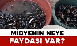Midyenin Neye Faydası Var?