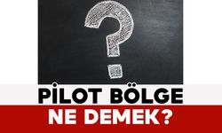 Pilot Bölge Ne Demek?