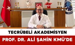 Tecrübeli Akademisyen Prof. Dr. Ali Şahin Kmü'de