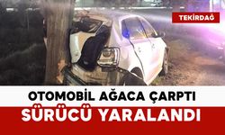Ağaca çarpan otomobilin sürücüsü yaralandı