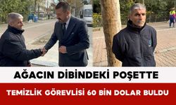 Ağacın Dibindeki Şüpheli Poşette Temizlik Görevlisi 60 Bin Dolar Buldu