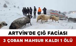 Artvin’de Çığ Faciası: 3 Çoban Mahsur Kaldı 1 Ölü