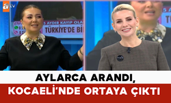 Aylarca Arandı, Kocaeli’nde Ortaya Çıktı