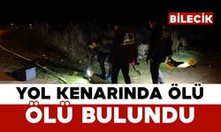 Bir kişi yol kenarında ölü bulundu