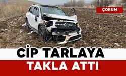 Cip tarlaya takla attı: 2 yaralı