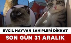 Evcil Hayvan Sahipleri Dikkat: Son Gün 31 Aralık