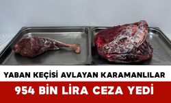 Kaçak Yaban Keçisi Avına 954 Bin TL Ceza