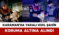 Karaman'da Kızıl Şahin Koruma Altına Alındı