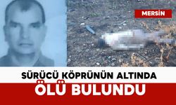 Kaza yapan araç otoyolda, sürücüsü köprünün altında ölü bulundu