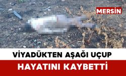 Kaza yapan aracın sürücüsü 30 metrelik köprünün altında ölü bulundu