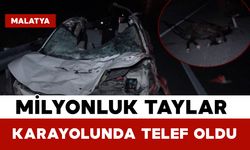 Malatya’da Milyonluk Taylar Karayolunda Telef Oldu