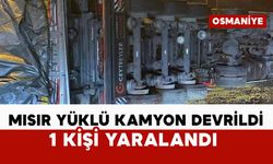 Mısır yüklü kamyon devrildi: 1 yaralı