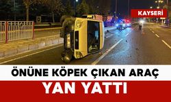 Önüne köpek çıkınca yan yattı: 2 yaralı