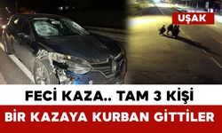 Otomobilin çarptığı 3 kişi hayatını kaybetti