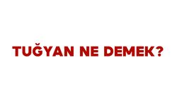 Tuğyan Ne Demek? Tuğyan İsminin Anlamı Nedir?