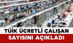 TÜİK Ücretli Çalışan Sayısını Açıkladı