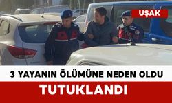 3 yayanın ölümüne neden olan sürücü tutuklandı