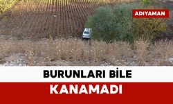 Uçurumdan uçan otomobili görenler şaşırdı