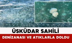 Üsküdar Sahili Denizanası ve Atıklarla Doldu