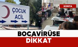 2 yaş altı çocuklar risk altında: Bocavirüse dikkat