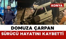 Domuza çarpan otomobil sürücüsü hayatını kaybetti