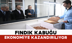 Fındık Kabuğu Ekonomiye Kazandırılıyor