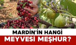 Mardin’in Hangi Meyvesi Meşhur?