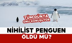 Nihilist Penguen öldü mü? Tüm dünya onu konuşuyor