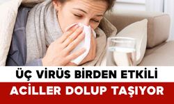 Üç Virüs Birden Etkili: Aciller Dolup Taşıyor