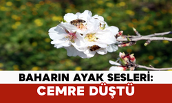 Baharın Ayak Sesleri: Cemre Düştü