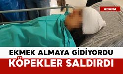 Ekmek almaya giderken köpekler saldırdı